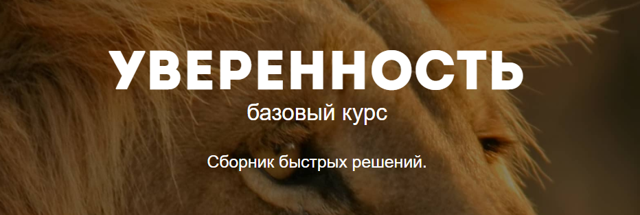 Уверенность - Смирнов (2017)_0.png